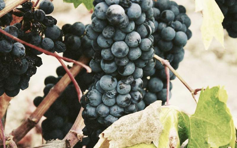 巴迪斯集成吊頂一平米價格多少？廚房預算怎么估？